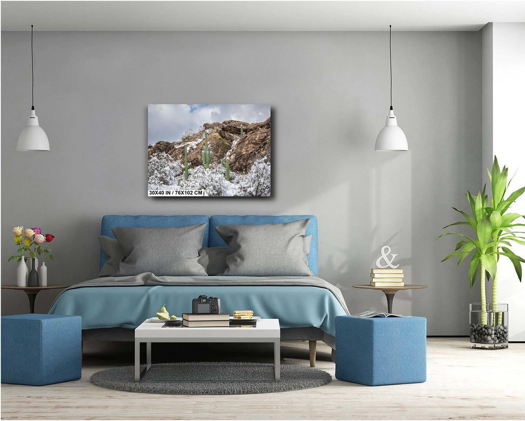 Saguaro National Park Winter Print: Tucson Arizona Desert Snow Scene