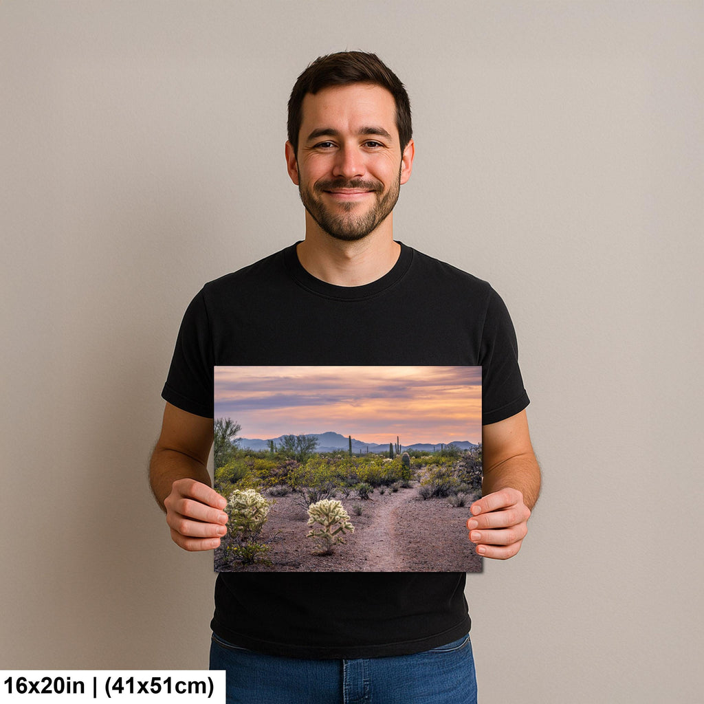 Spring Wildflowers and Saguaros at Sunset, Tucson Arizona Sonoran Desert Photography Print
