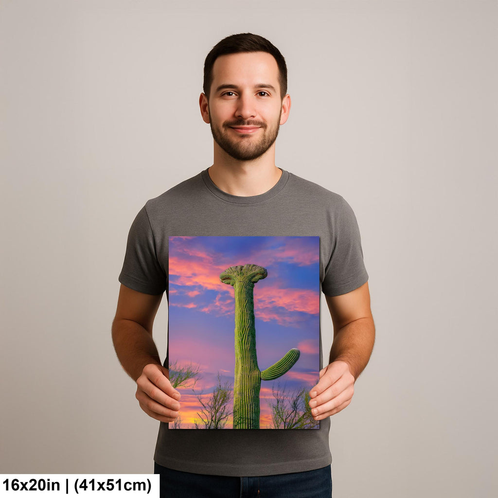 Crested Saguaro Cactus at Sunset - Saguaro National Park East Tucson Photography Print