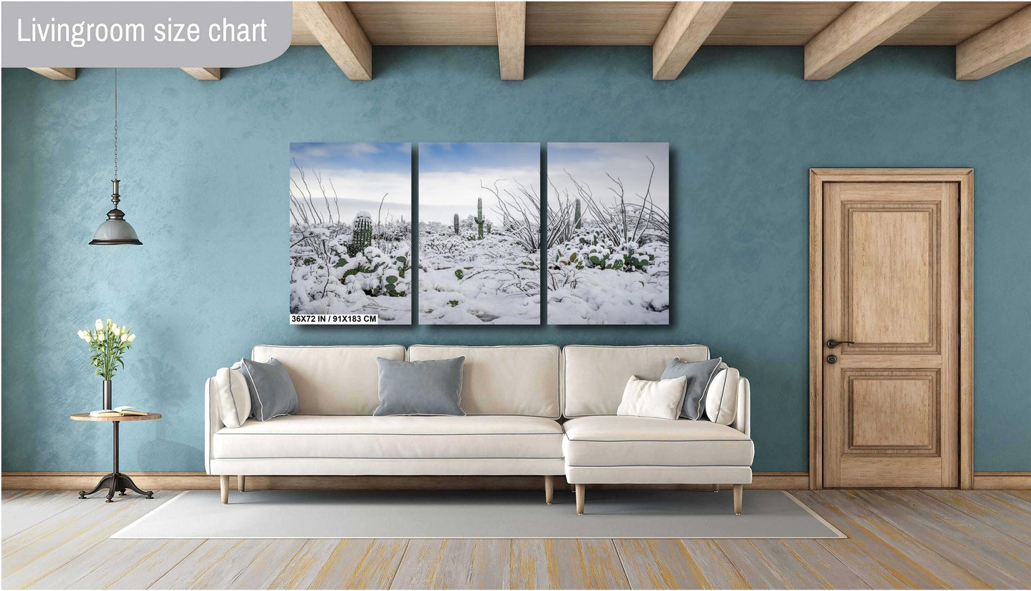 Snow in Saguaro National Park – Rare Desert Snow Cactus Art Print | Canvas & Metal