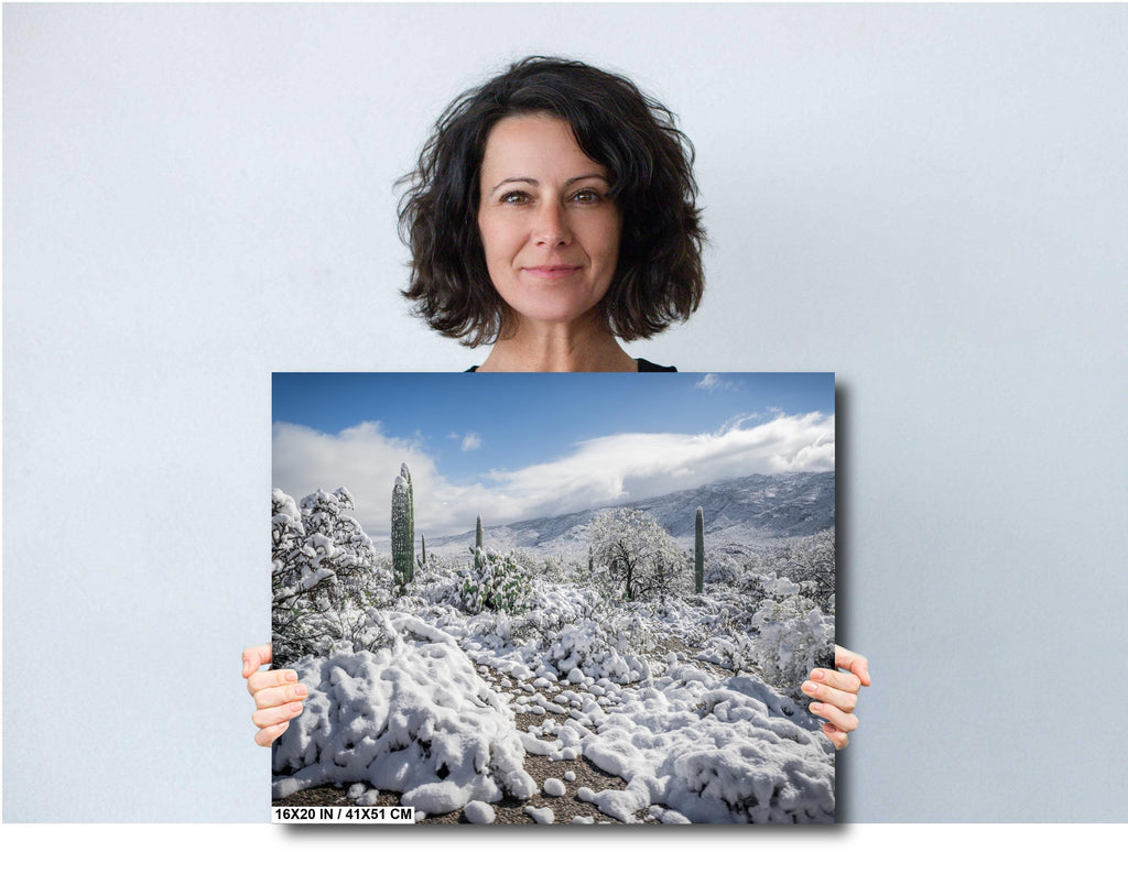 Saguaro National Park Winter Snow Print: Arizona Desert Wall Art