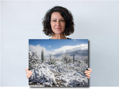 Saguaro Winter Wall Art - Desert Snowfall Art | Tucson Cactus Print Canvas