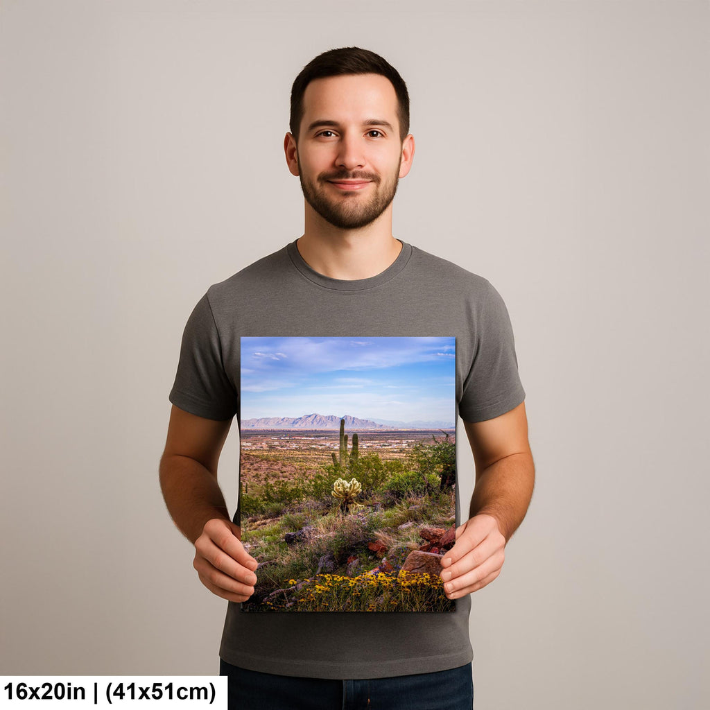 Mountain View Hike with Saguaros and Wildflowers, Casa Grande Arizona Desert Wall Art
