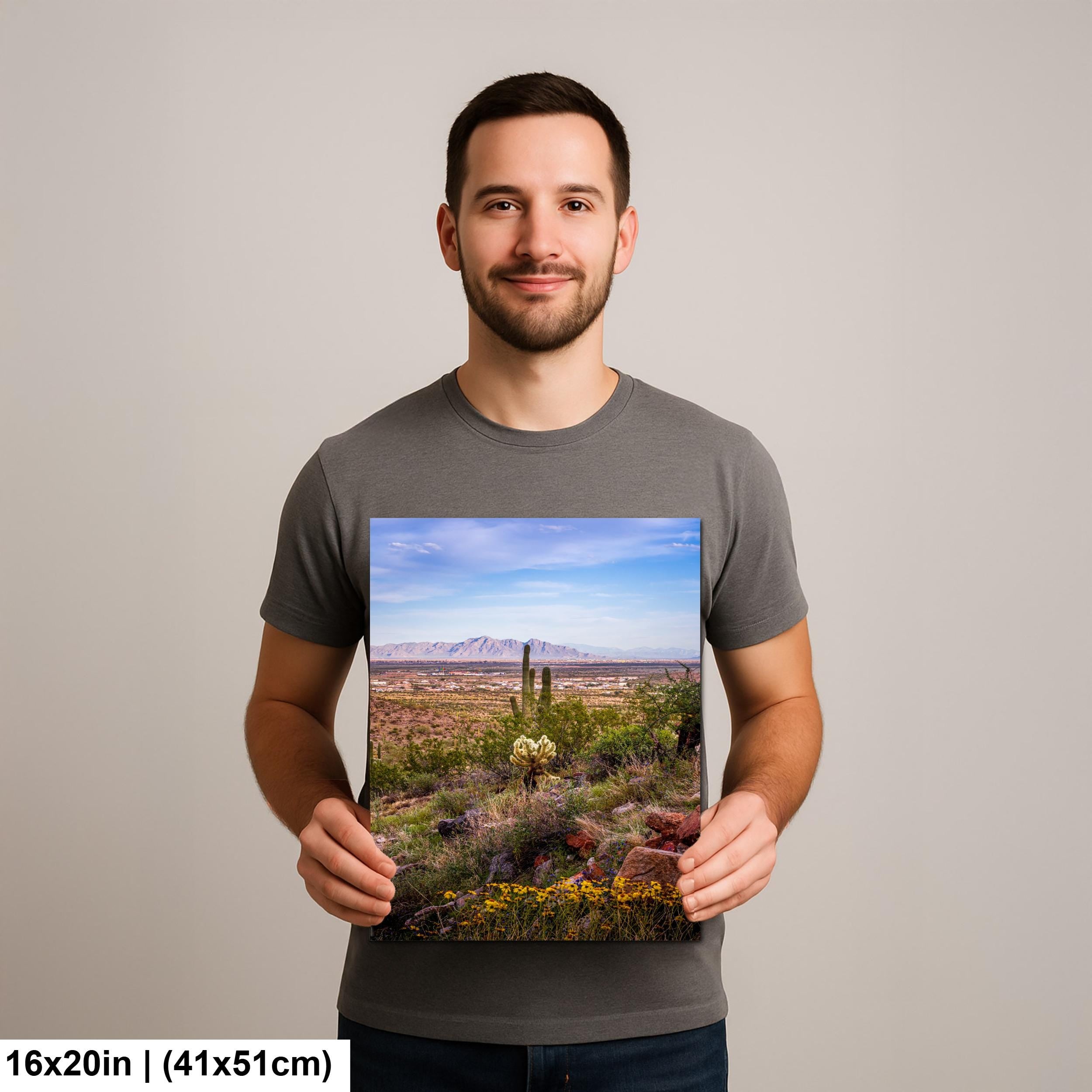Mountain View Hike with Saguaros and Wildflowers, Casa Grande Arizona Desert Wall Art