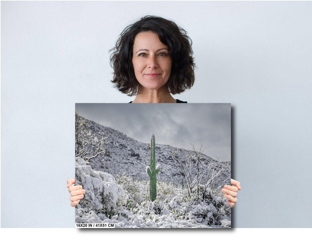 Saguaro Cactus in Snow Print: Tucson Arizona Winter Wall Art
