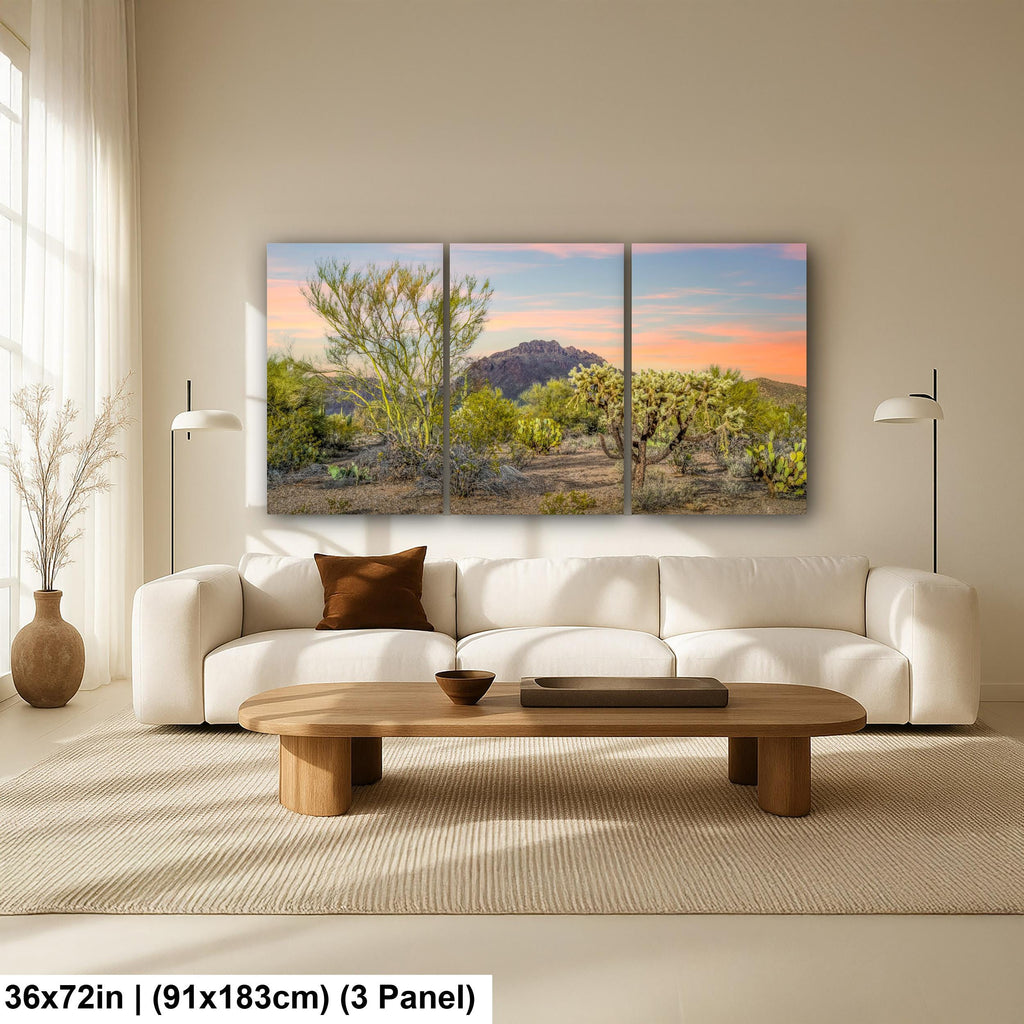 Cholla Cactus Sunset with Mountain View, Tucson Arizona Photography Print