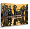Agua Caliente Park Palm Oasis at Sunset - Tucson Arizona Reflection Photography Print