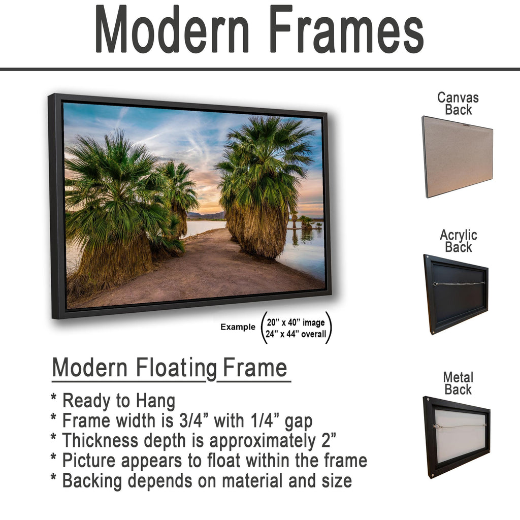 Oasis Palms: Mittry Lake Yuma AZ Desert Sunset Landscape Photo Wall Art