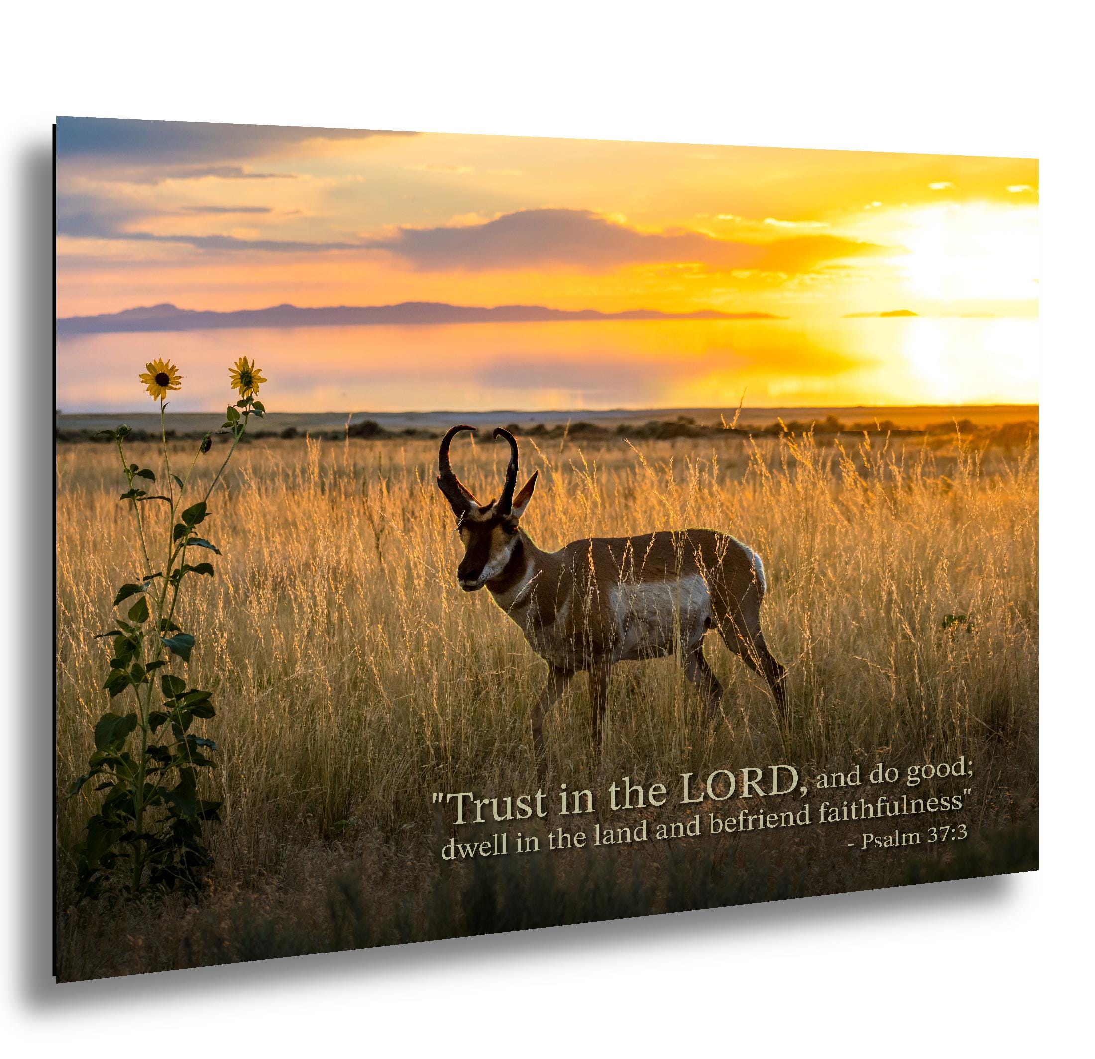 Christian Wall Art – Psalm 37:3 Inspirational Verse & Utah Sunset Landscape Print