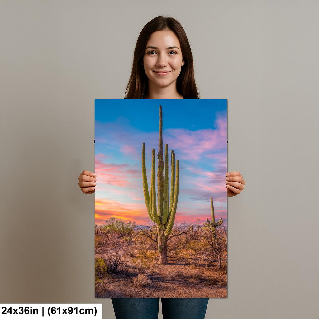 Multi-Arm Saguaro at Sunset - Saguaro National Park East Tucson Arizona Photography Print