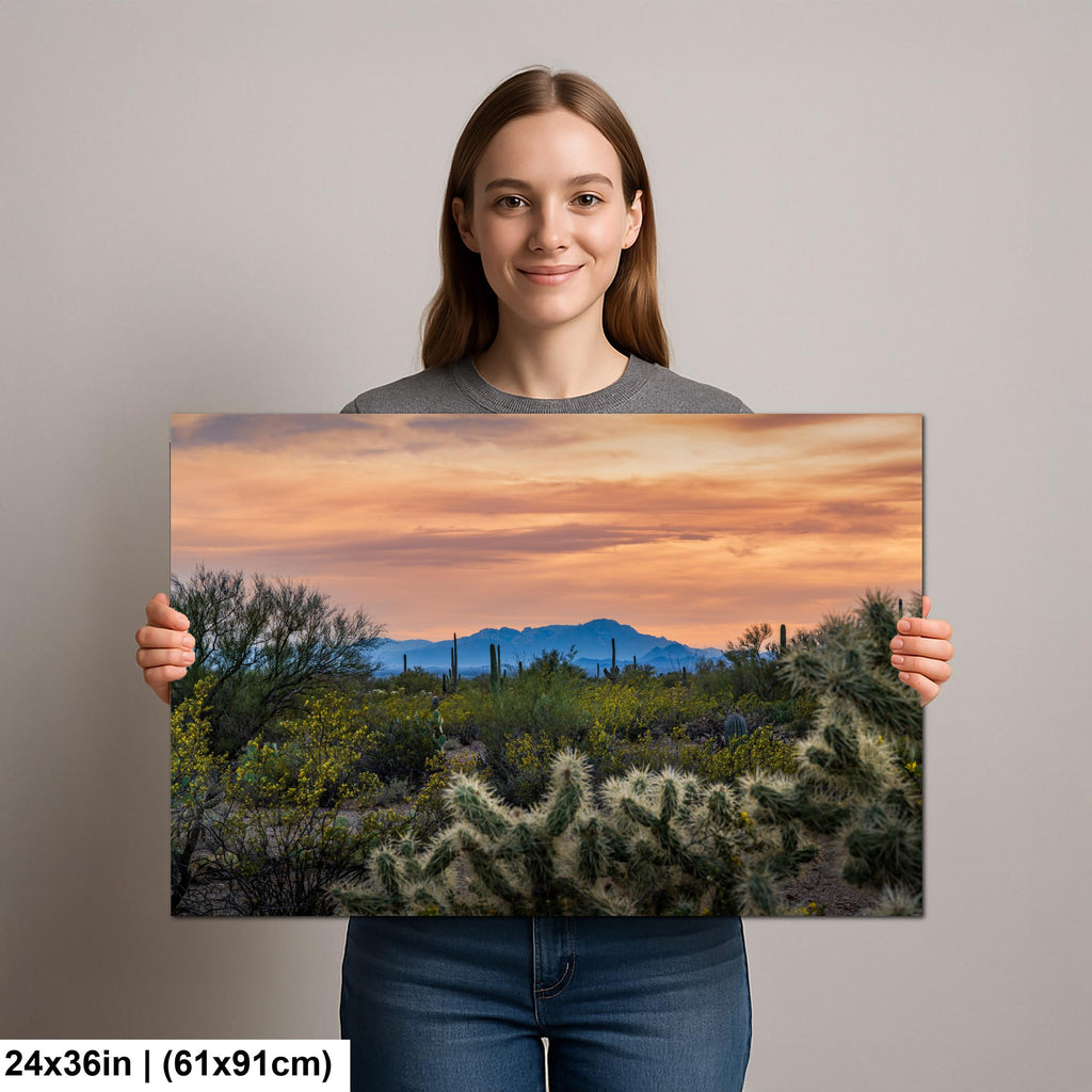 Sonoran Desert Sunset with Saguaros and Cholla, Tucson Arizona Photography Print
