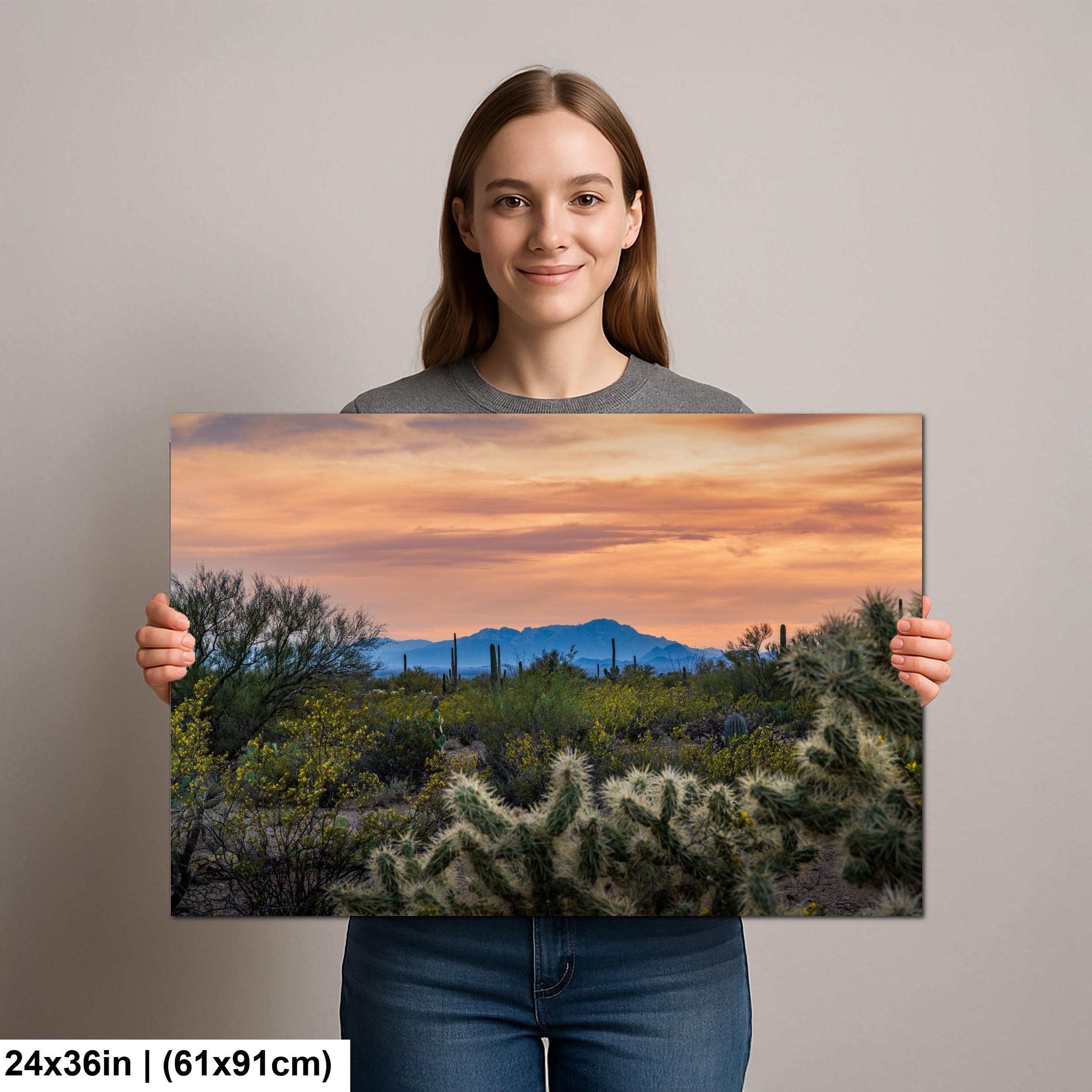 Sonoran Desert Sunset with Saguaros and Cholla, Tucson Arizona Photography Print