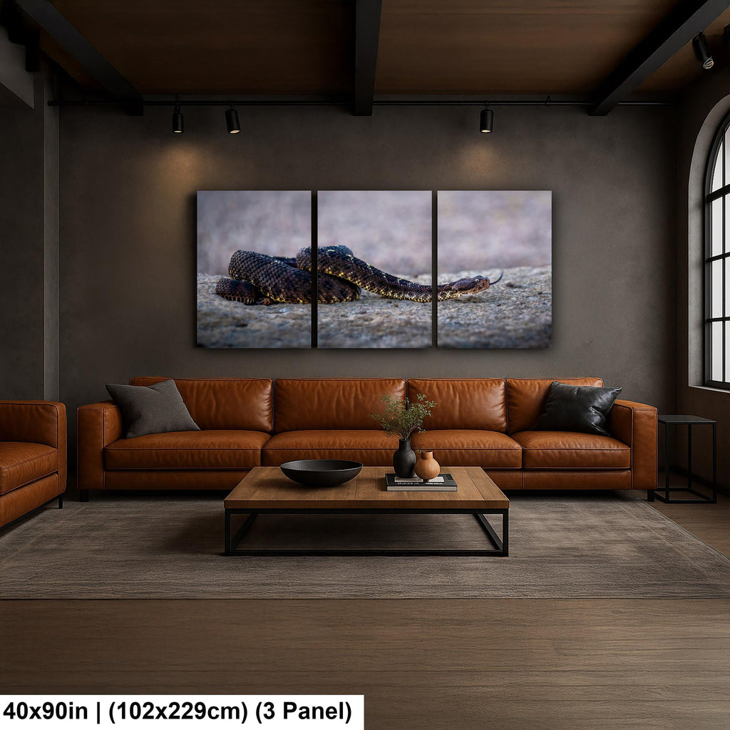 Black Rattlesnake Print - Arizona Desert Wildlife Art | Fine Canvas Wall Decor