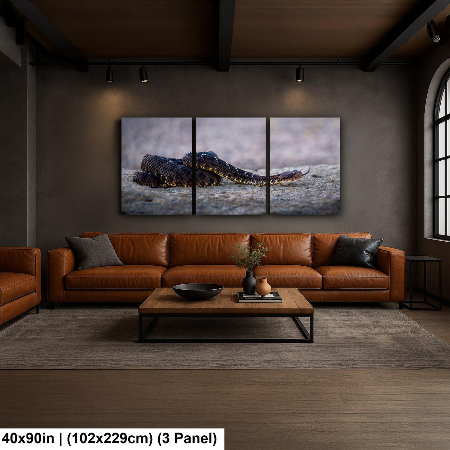 Black Rattlesnake Print - Arizona Desert Wildlife Art | Fine Canvas Wall Decor