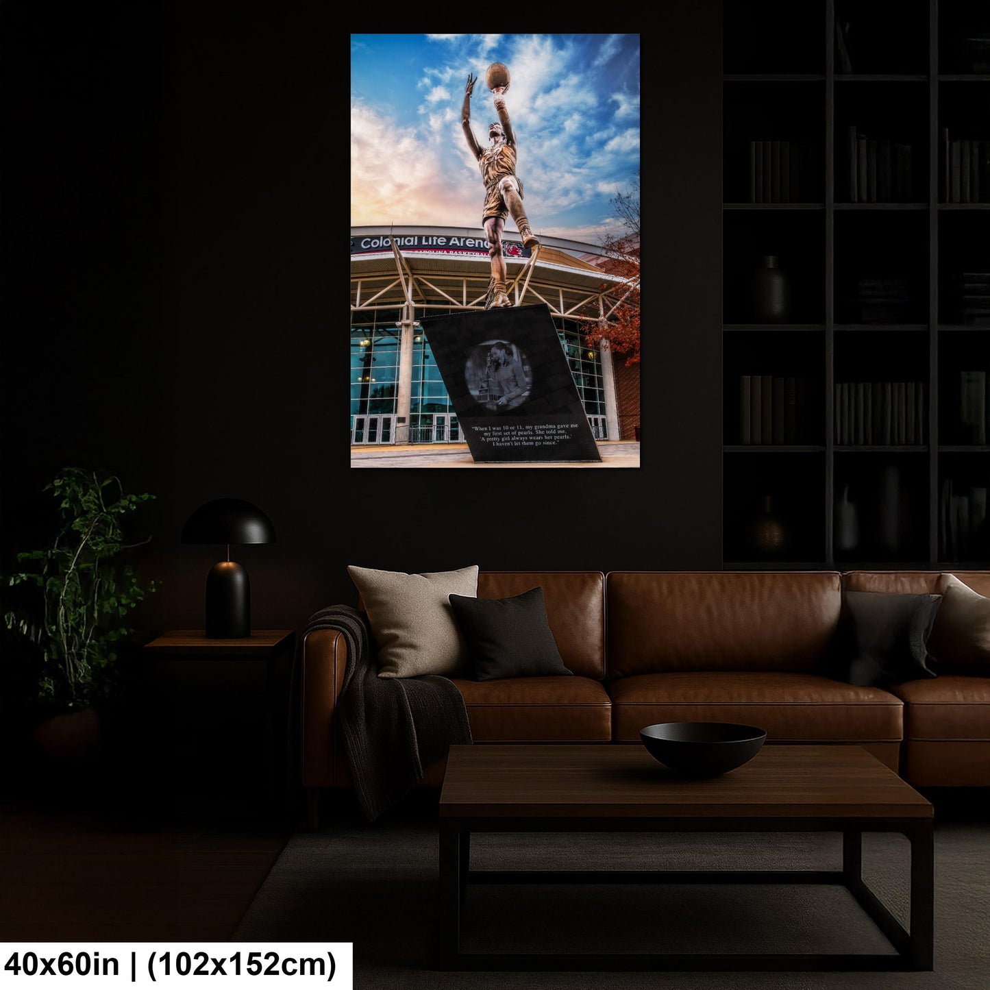 A'ja Wilson Statue Print, Colonial Life Arena USC Columbia Photography Wall Art