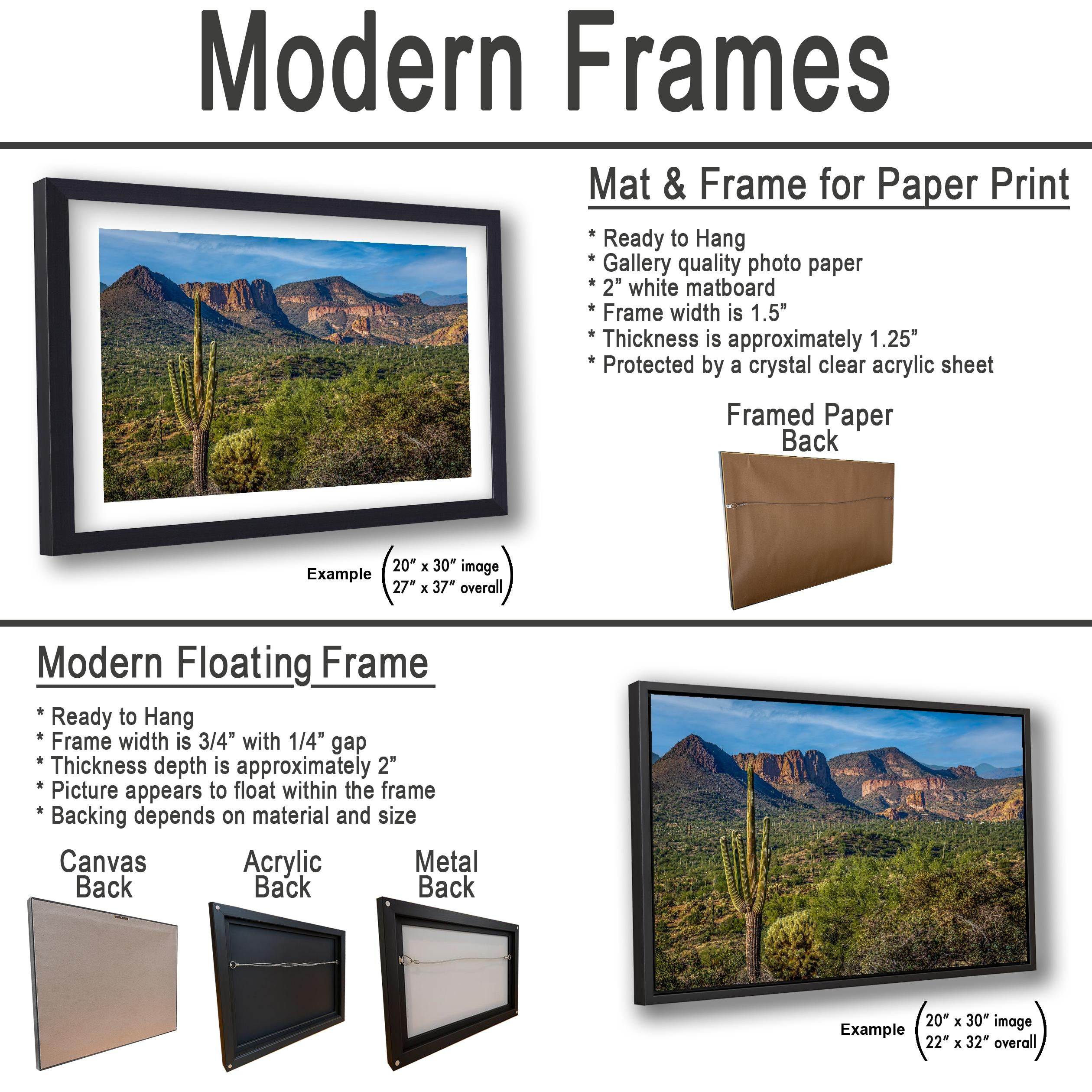 Lost Dutchman State Park Saguaro Overlooking Superstition Mountains Red Rock Cliffs - Apache Junction Arizona Photography Print