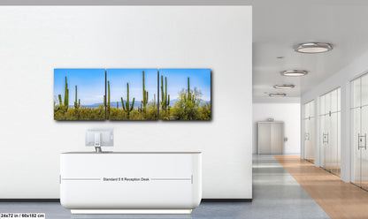 Panoramic Saguaro Desert Landscape, Tucson Arizona Photography Print, Southwest Wall Art, Cactus Decor, Desert Mountain View