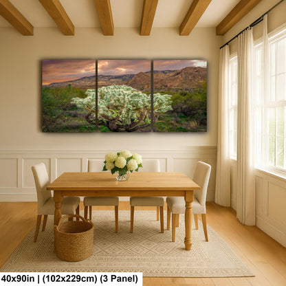 Cholla Cactus at Sunset - Catalina State Park Tucson Arizona Photography Print