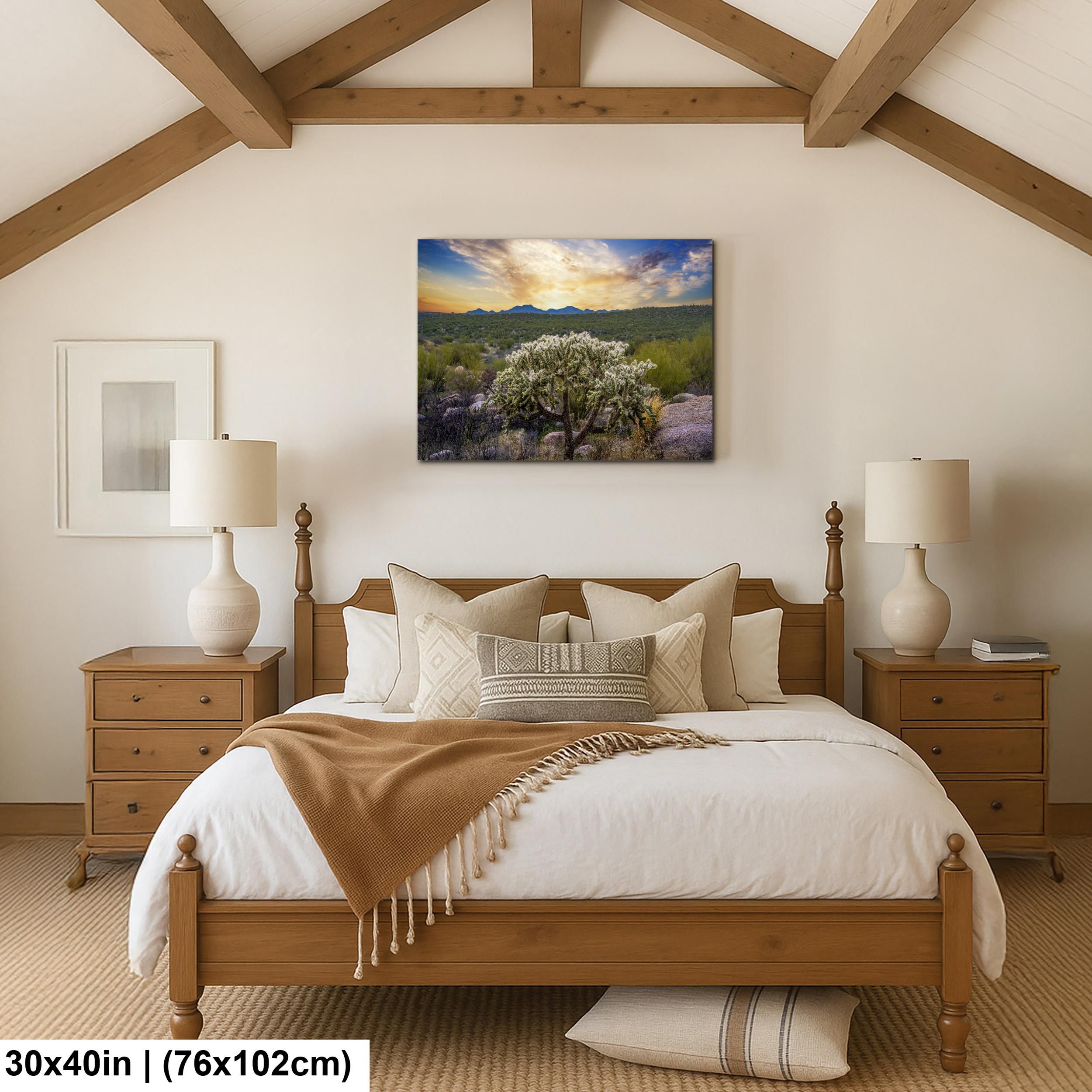 Sonoran Desert Sunset with Cholla Cactus - Catalina State Park Tucson Arizona Photography Print