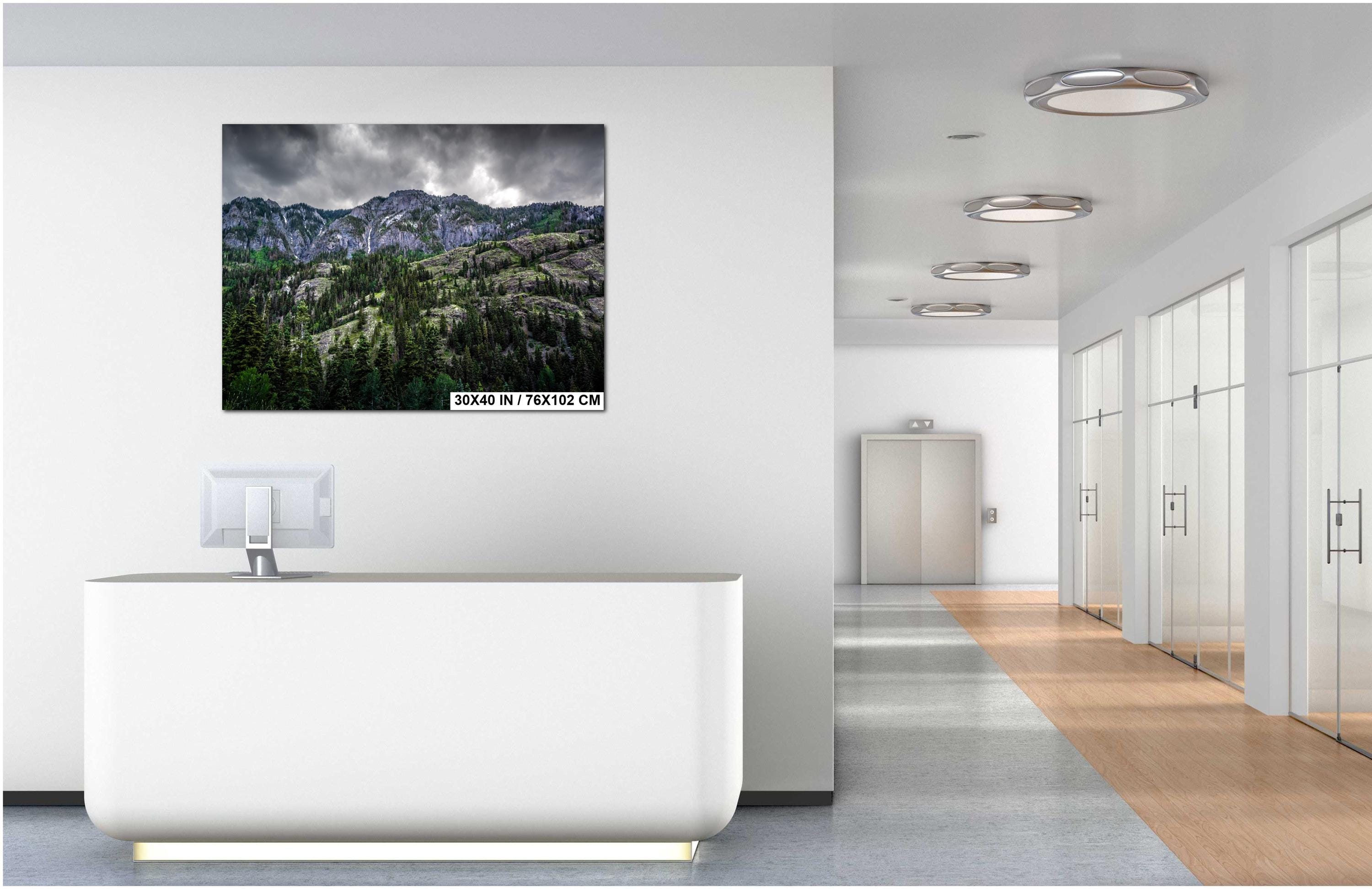 Ouray Colorado Forest Print: San Juan Mountains Landscape Photography