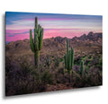 Sonoran Desert Sunset with Saguaros - Catalina State Park Tucson Arizona Photography Print