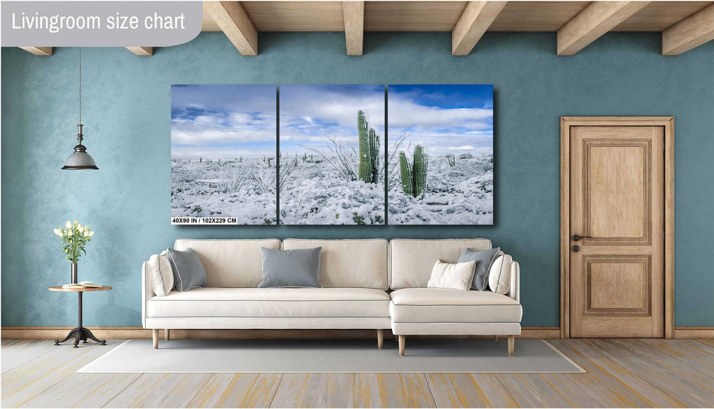 Saguaro National Park Winter Print: Arizona Desert Snow Photography