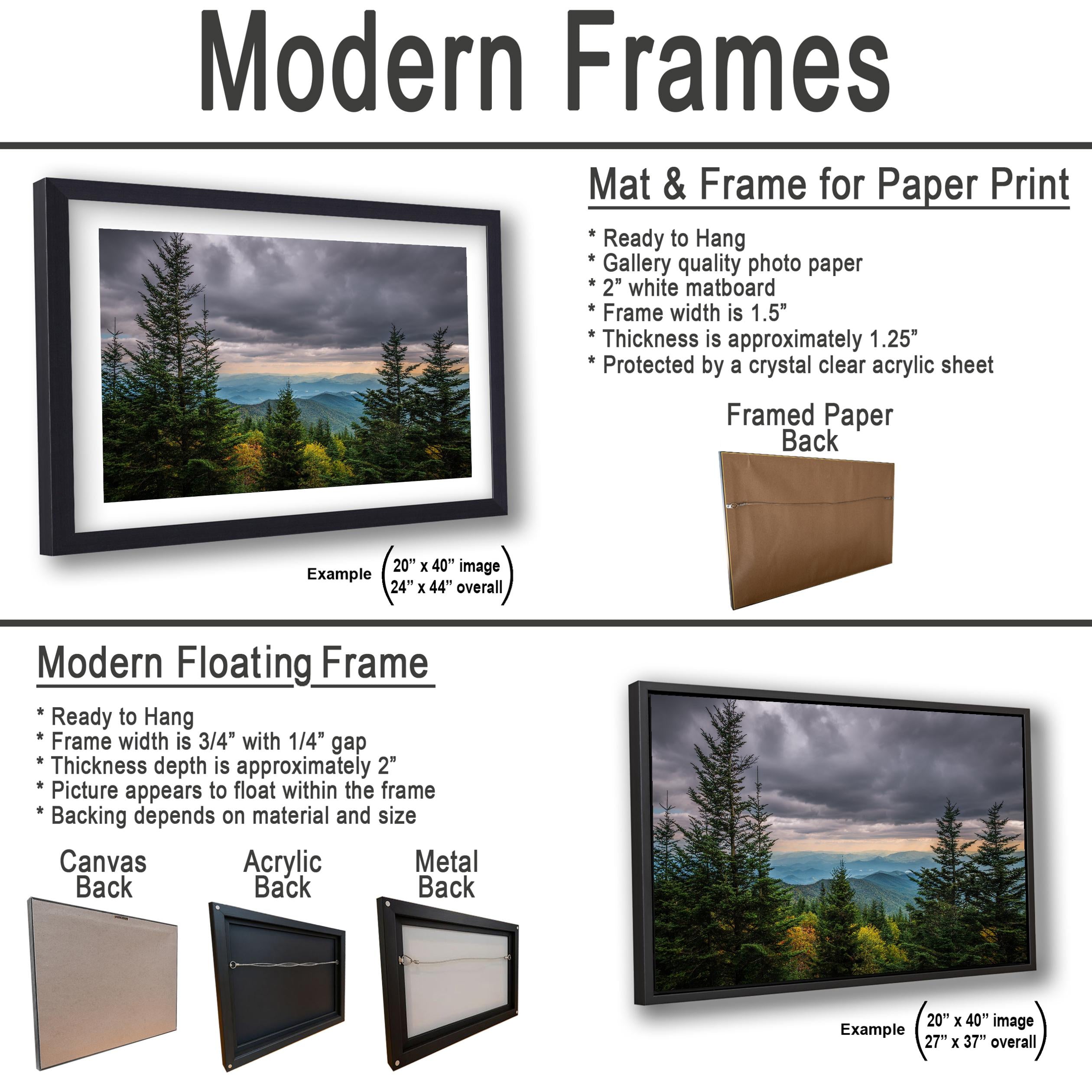 Through the Pines: Great Smoky Mountains National Park TN Photo Wall Art