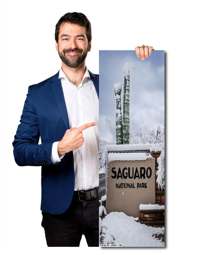 Saguaro National Park Wall Art – Snowy Desert Landscape | Tucson Arizona Decor