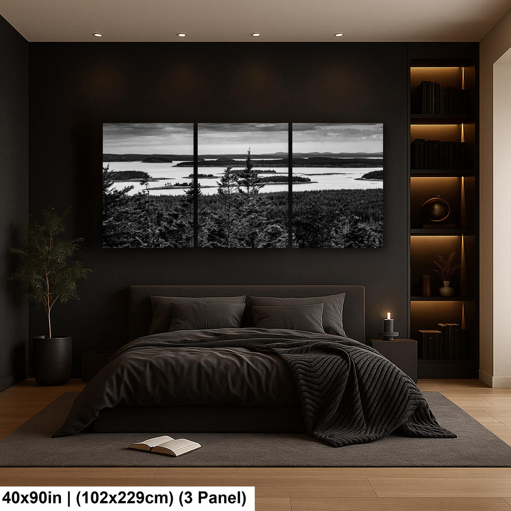 Beyond the Pines: Acadia National Park Maine Islands Black White Wall Art
