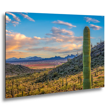 Desert Valley View with Saguaros, Casa Grande Arizona, Photography Wall Art