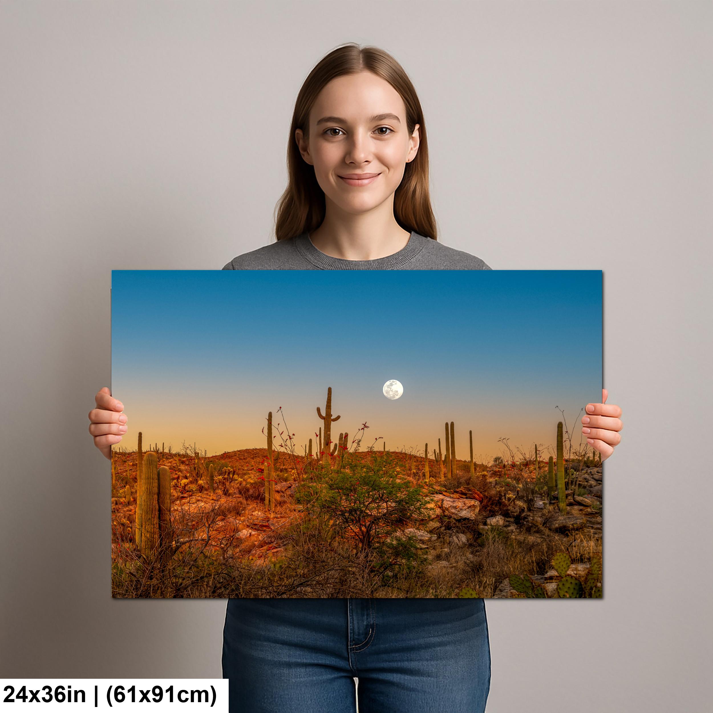 Full Moon Over Saguaro National Park East Photography Print, Tucson Arizona Desert Landscape, Southwest Wall Art