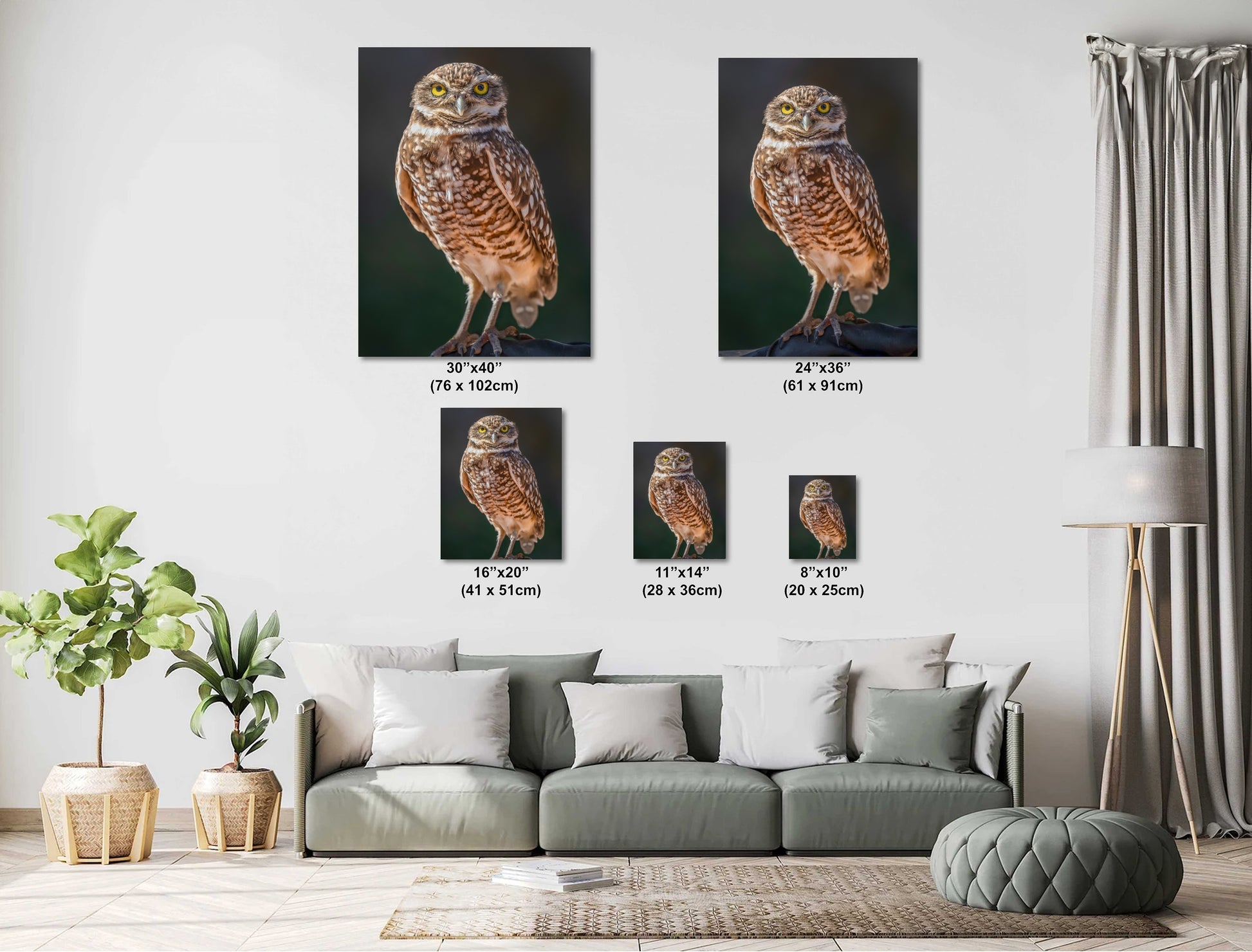 a cozy living room with a gray sofa, a potted plant, and a large painting of an owl on the wall. The painting is divided into four different sizes, ranging from 16" to 24" and 11" to 28" in centimeters.