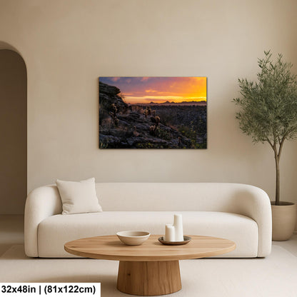 Sonoran Desert Sunset with Cholla and Saguaros - Casa Grande Arizona Photography Print
