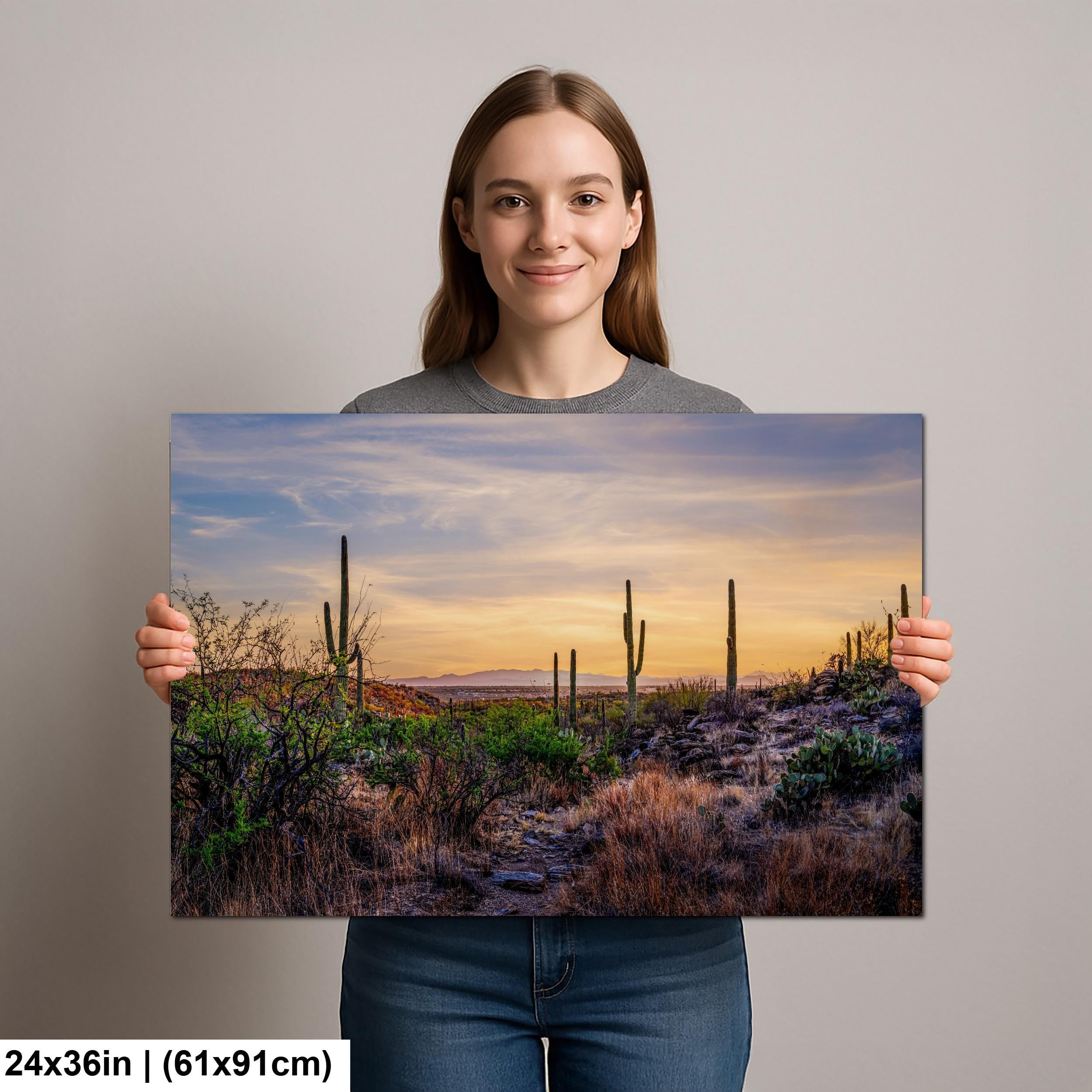 Sonoran Desert Valley Sunset with Saguaros - Saguaro National Park East Tucson Photography Print
