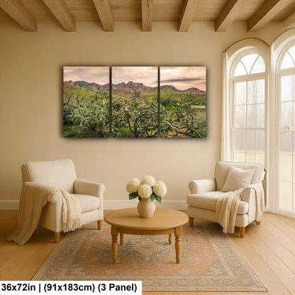 Catalina State Park Blooming Cholla - Tucson Arizona Desert Mountains Photography Print