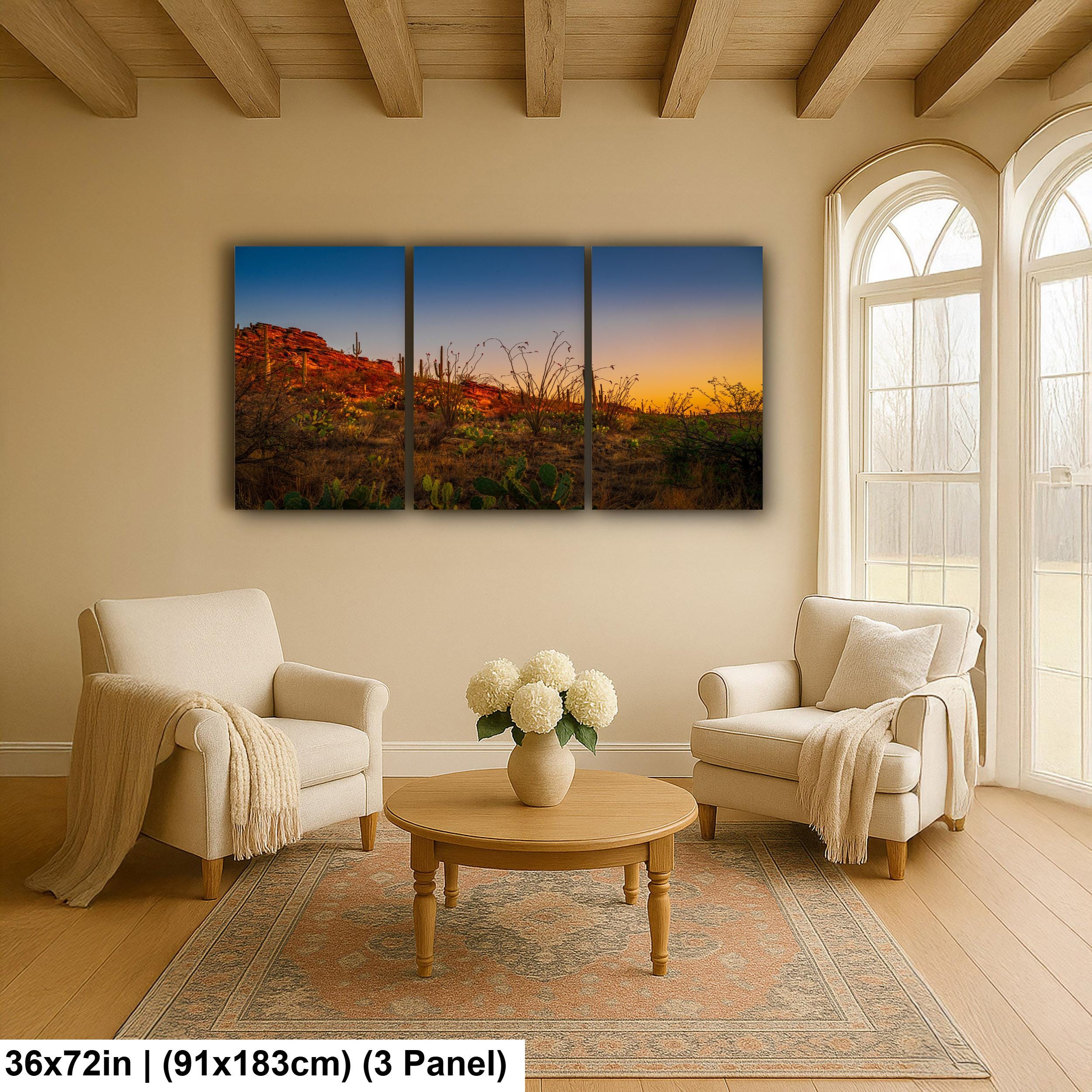 Sonoran Desert Sunset with Saguaros and Ocotillo - Saguaro National Park East Tucson Photography Print
