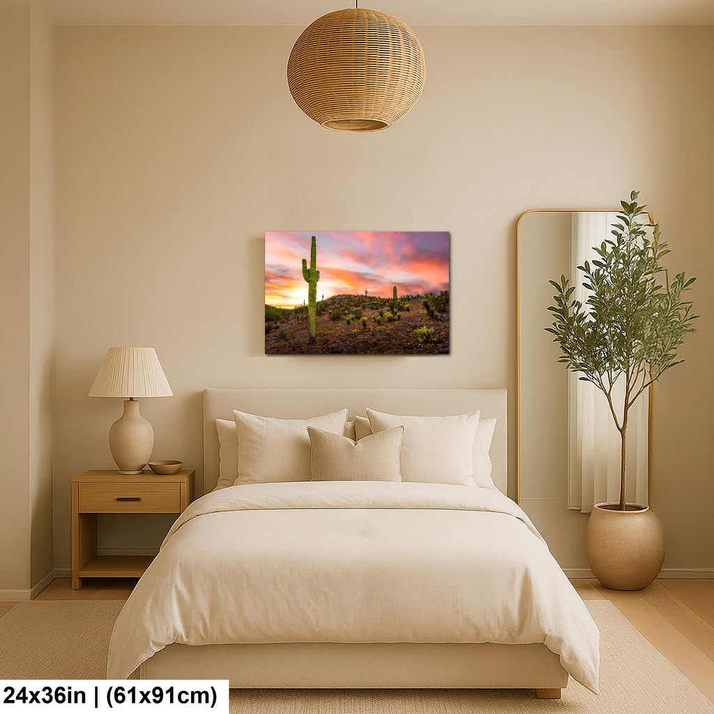 Towering Saguaro at Sunset - Sonoran Desert Casa Grande Arizona Photography Print