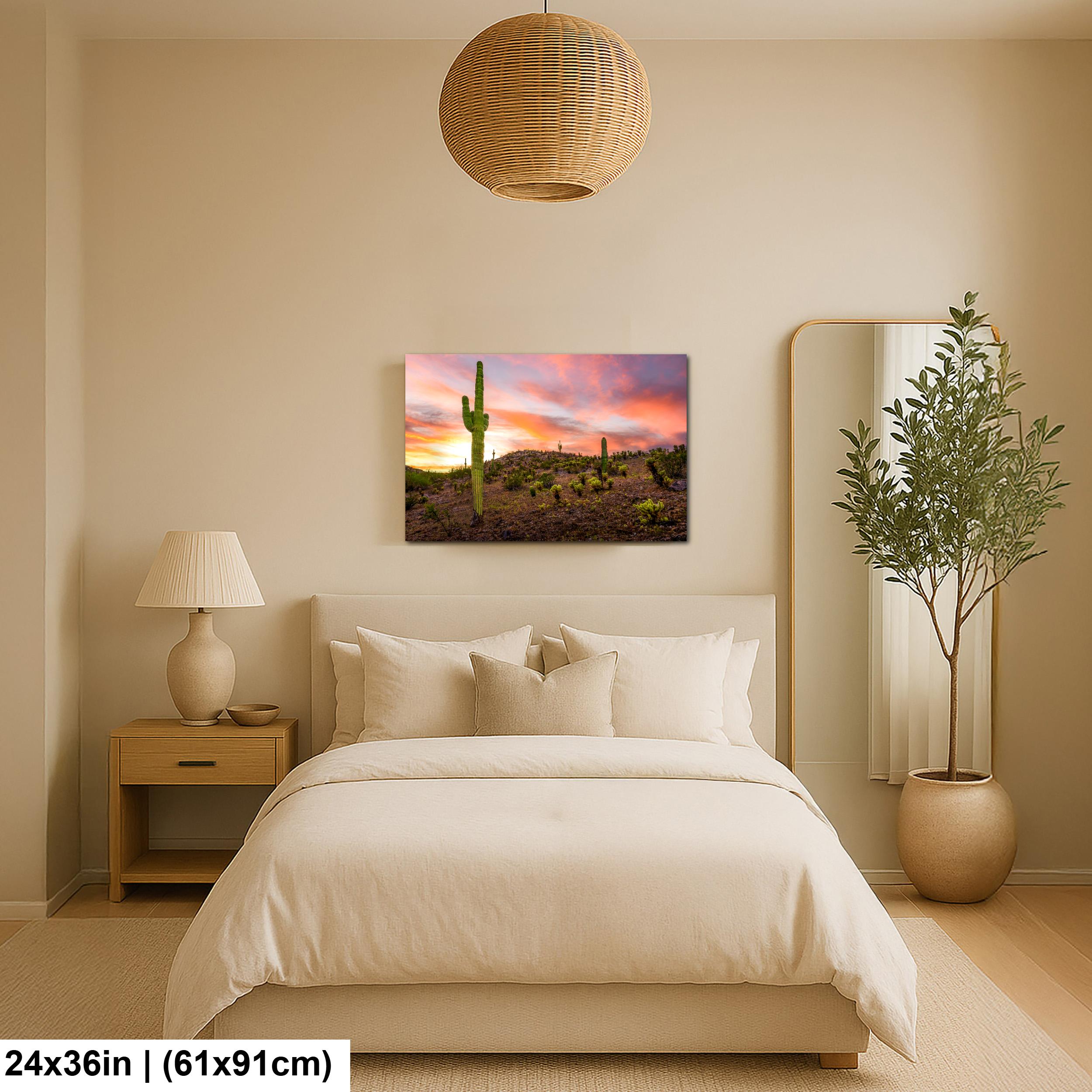 Towering Saguaro at Sunset - Sonoran Desert Casa Grande Arizona Photography Print