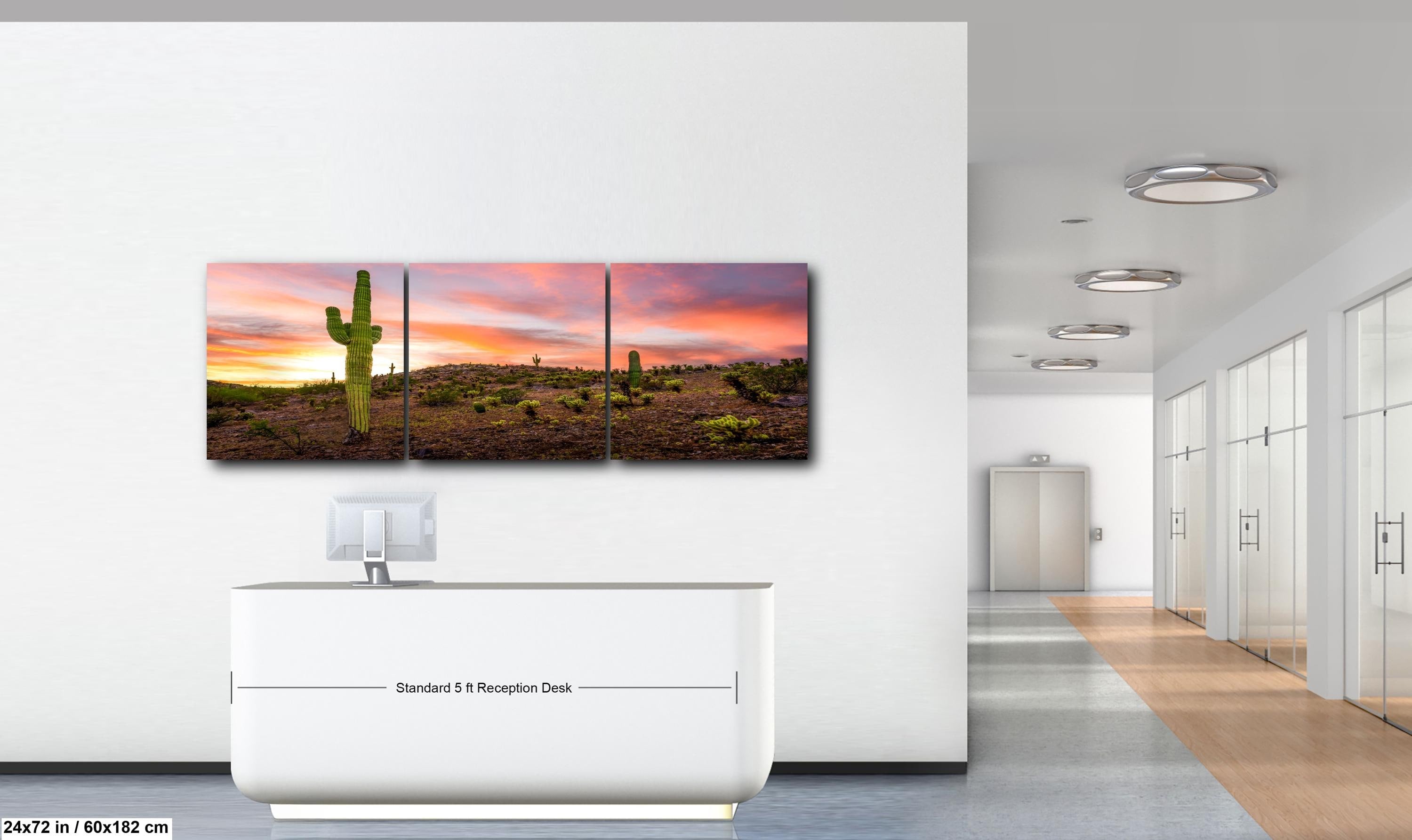 Towering Saguaro at Sunset - Sonoran Desert Casa Grande Arizona Photography Print