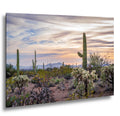 Pastel Desert Sunset with Saguaros and Cholla Tucson Arizona Photography Print