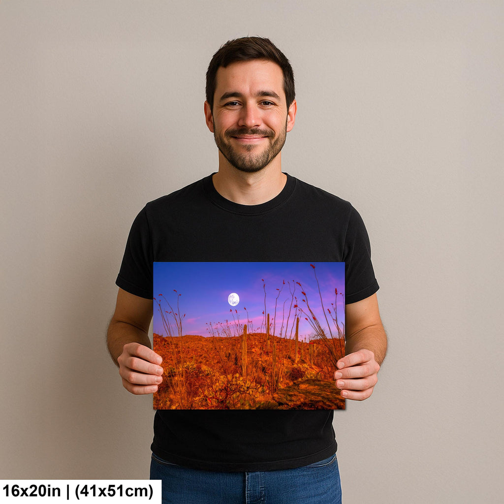 Sonoran Desert Full Moon Print – Saguaros, Ocotillo, Twilight Sky Photography Wall Art