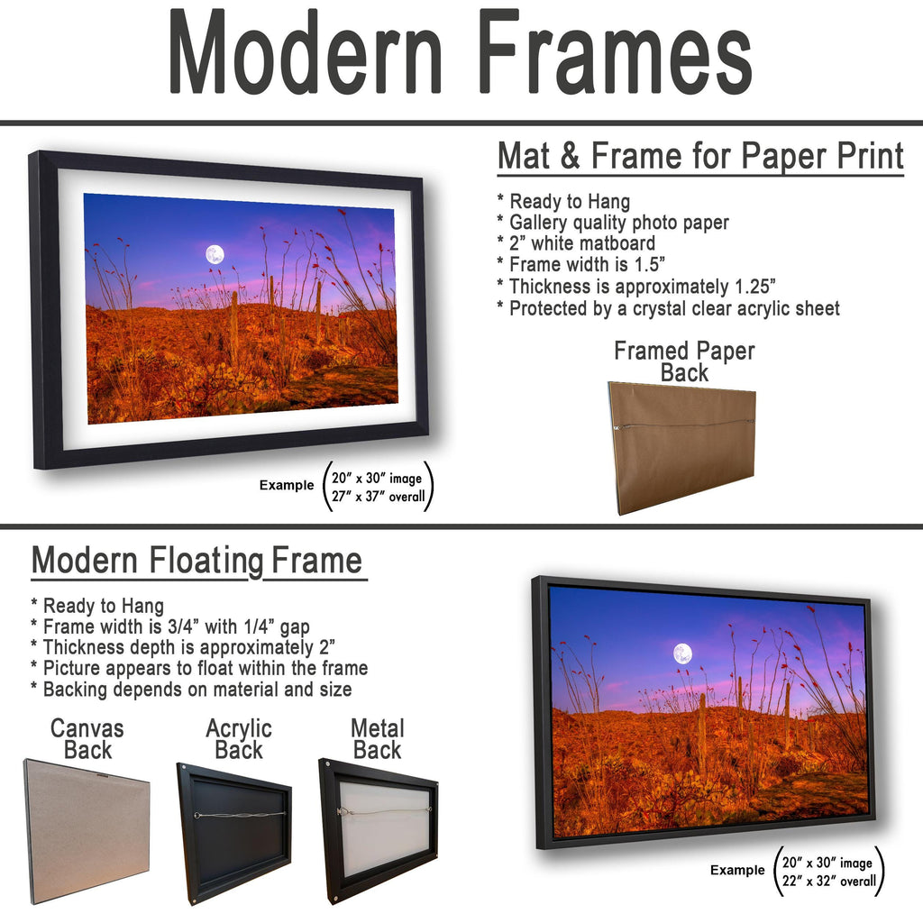 Sonoran Desert Full Moon Print – Saguaros, Ocotillo, Twilight Sky Photography Wall Art