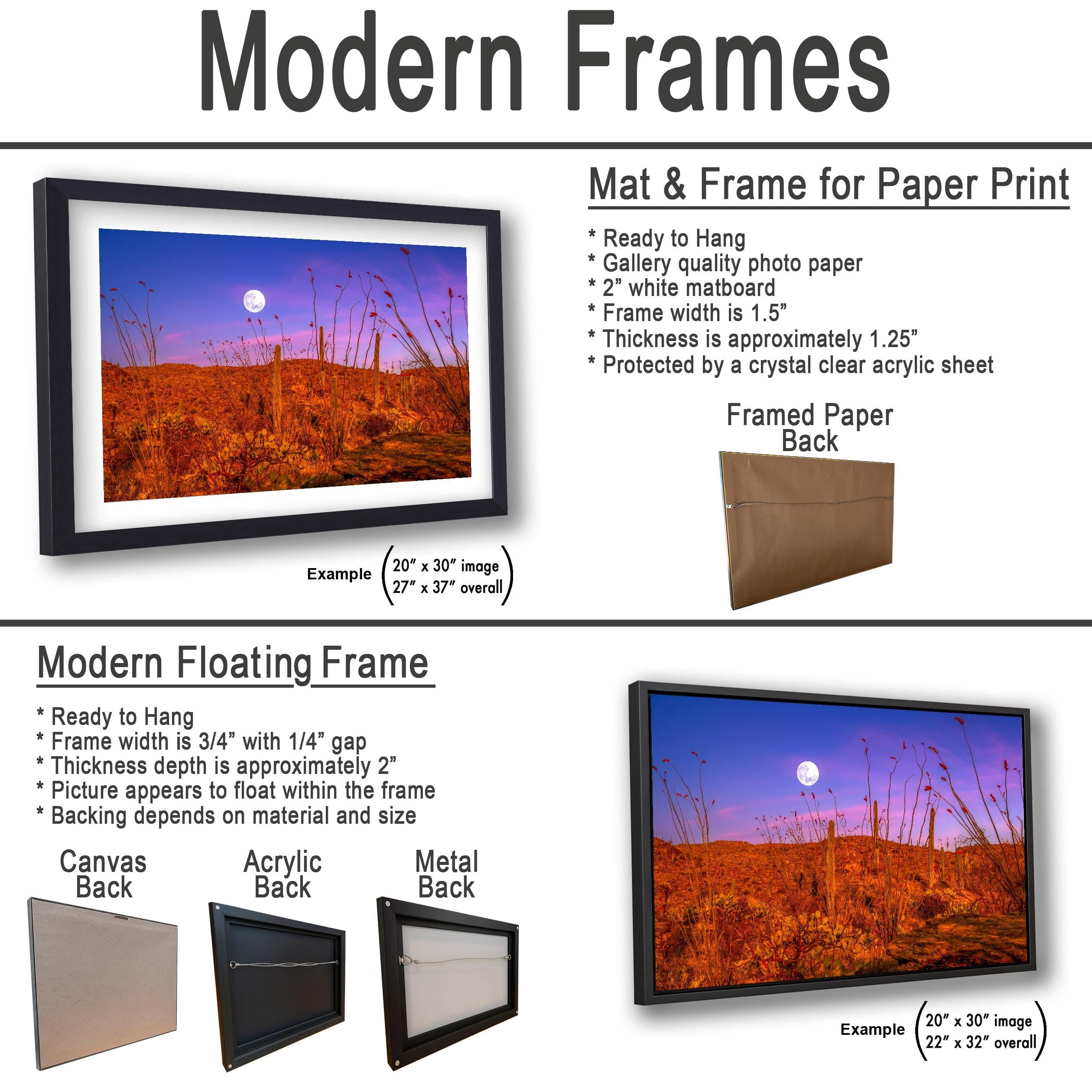 Sonoran Desert Full Moon Print – Saguaros, Ocotillo, Twilight Sky Photography Wall Art
