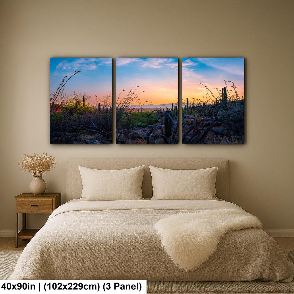 Sonoran Desert Sunset with Saguaros and Ocotillo - Saguaro National Park East Tucson Photography Print