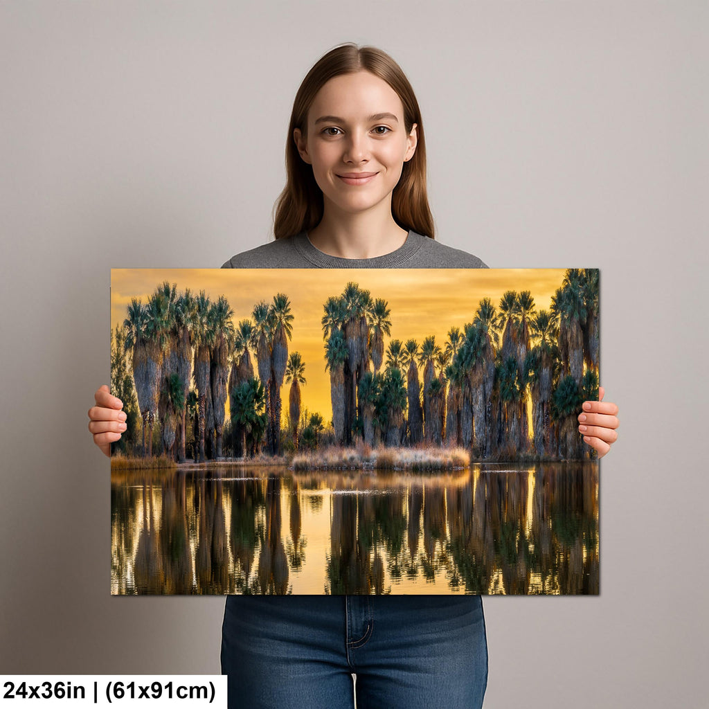 Agua Caliente Park Palm Oasis at Sunset - Tucson Arizona Reflection Photography Print