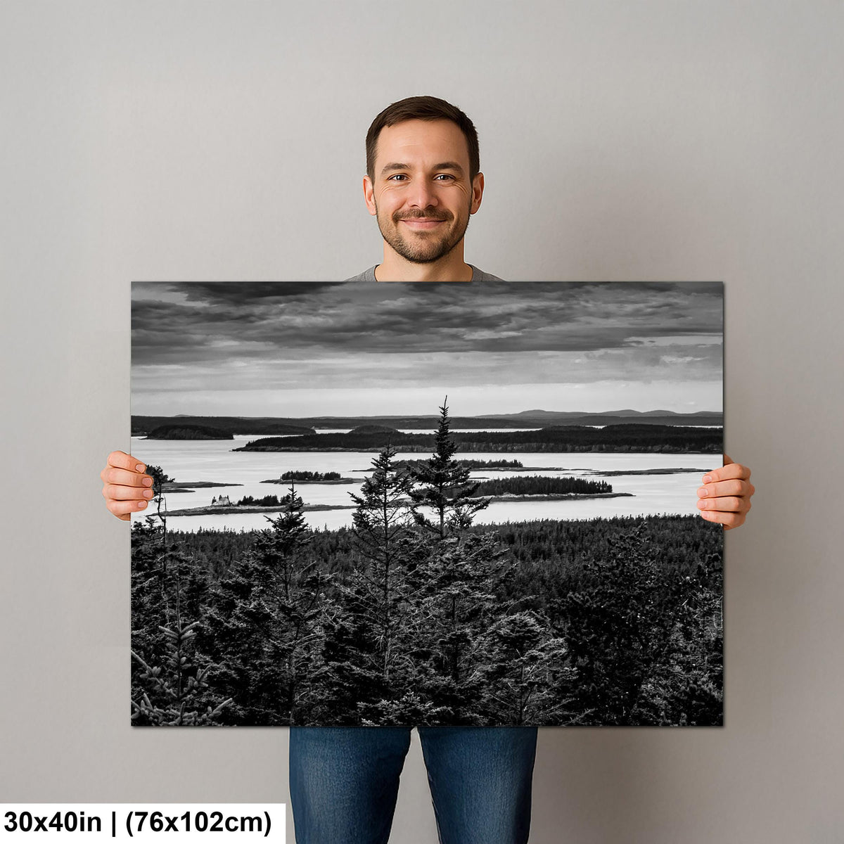 Beyond the Pines: Acadia National Park Maine Islands Black White Wall Art