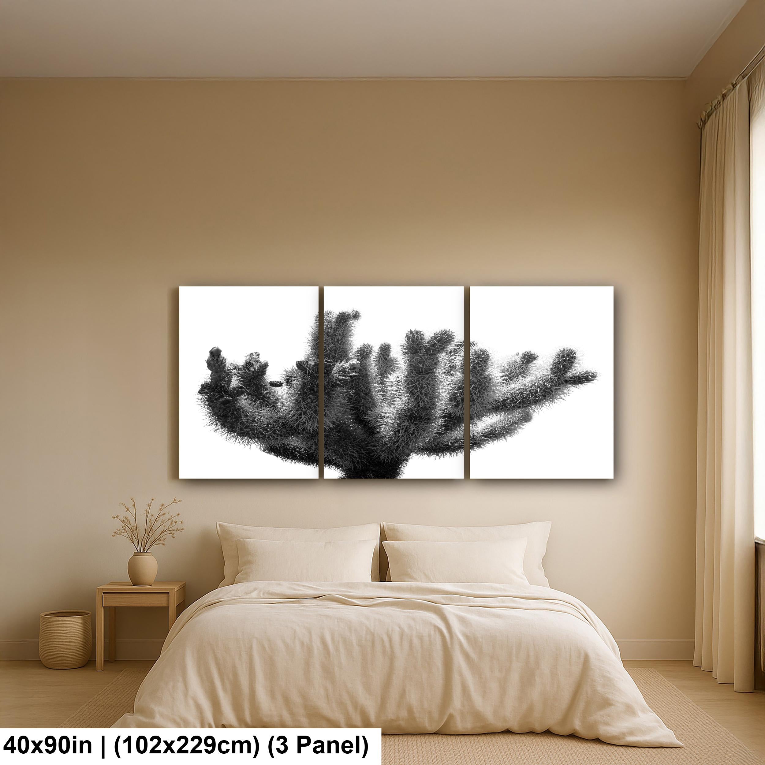 Joshua Tree Cholla Cactus Print: Black and White Desert Photography