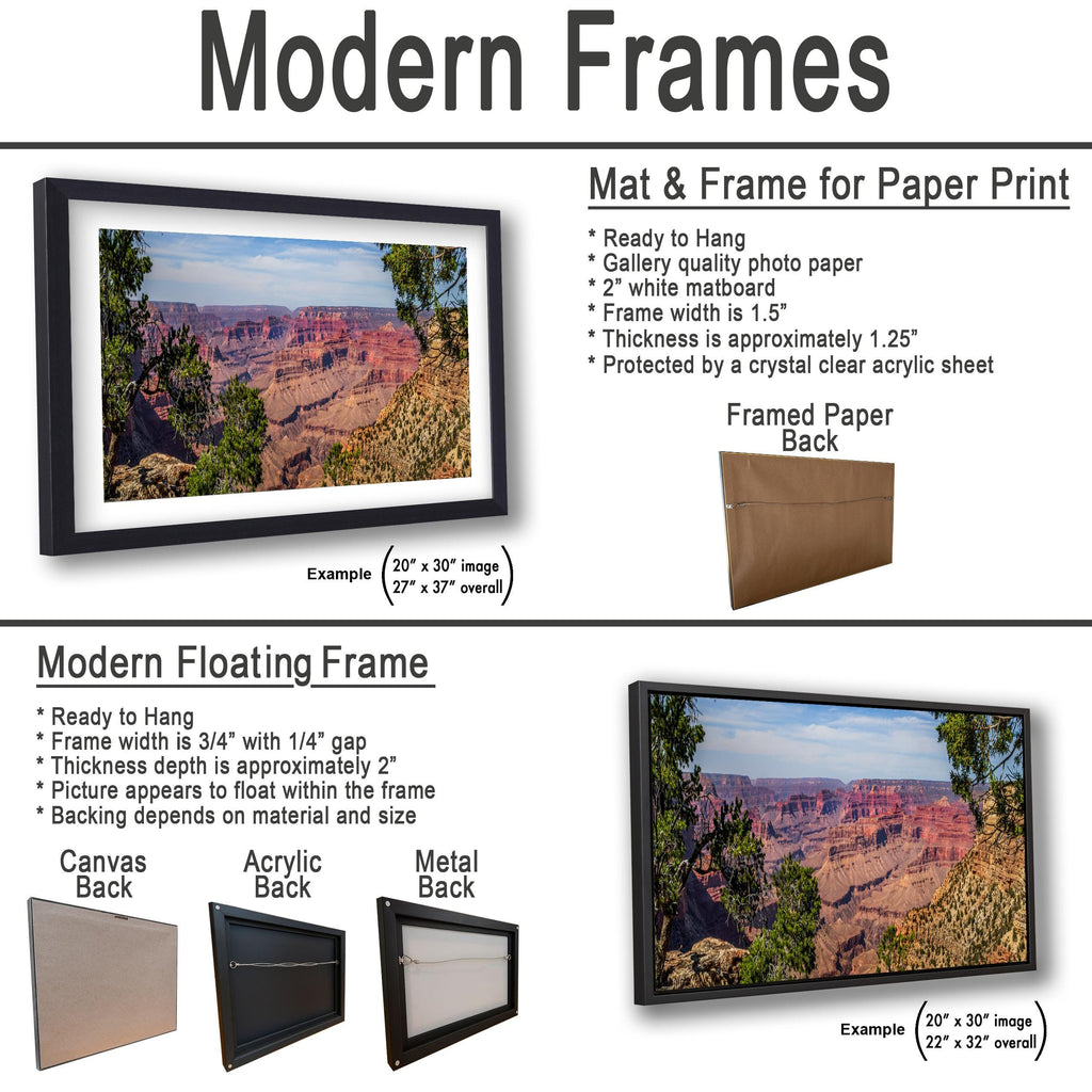Grand Canyon South Rim Overlook Photography Print, Arizona National Park Wall Art, Desert Landscape Decor