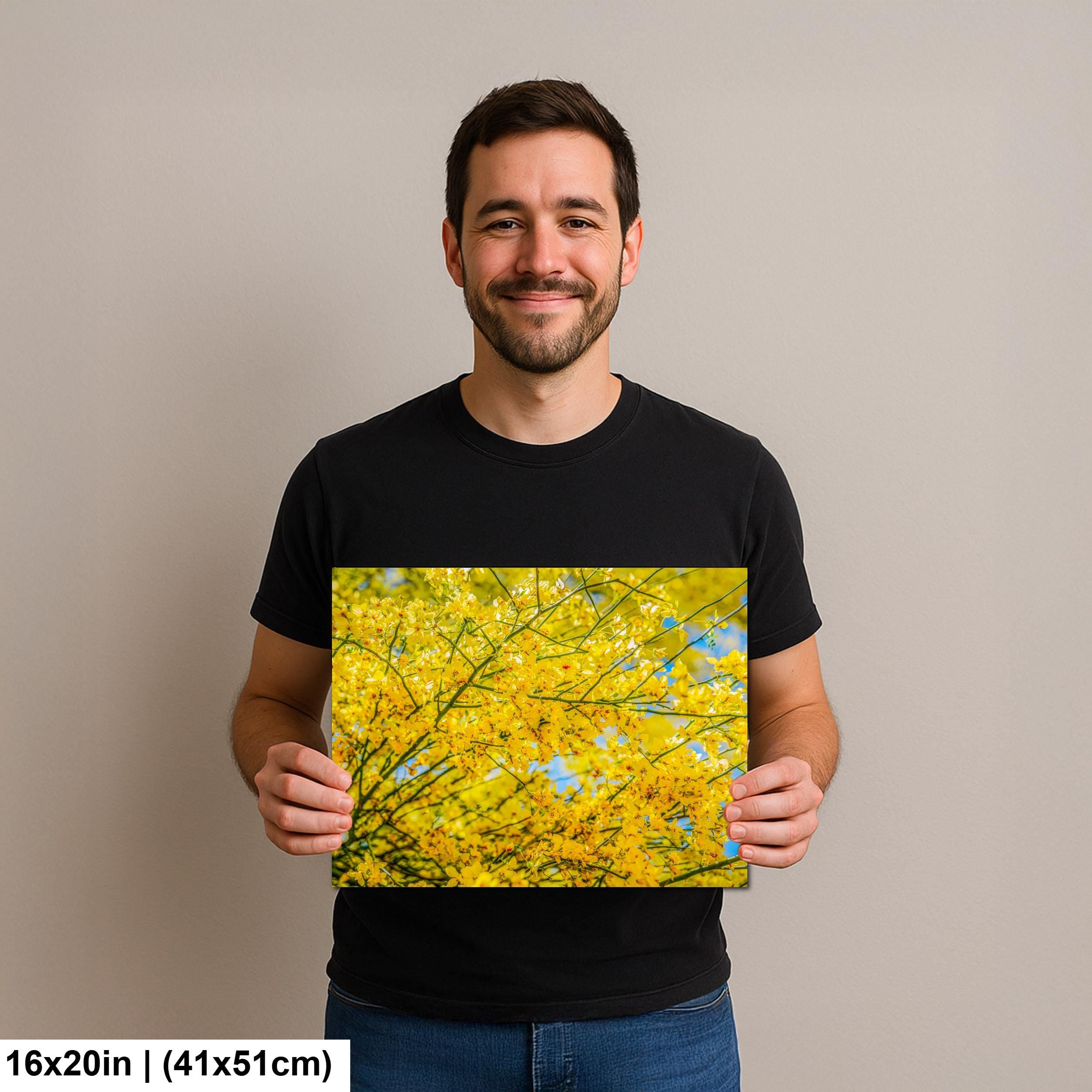 Palo Verde Spring Bloom Photography Print, Saguaro National Park Tucson Arizona, Yellow Desert Flowers Wall Art