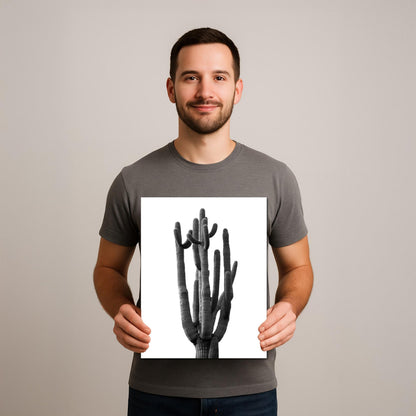 Towering Cactus Catalina State Park Arizona Black White Desert Wall Art